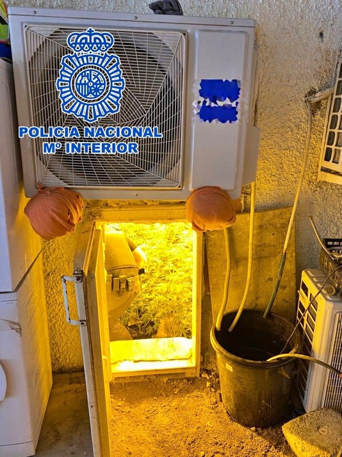 Cultivaba marihuana tras una puerta que simulaba ser un frigorífico