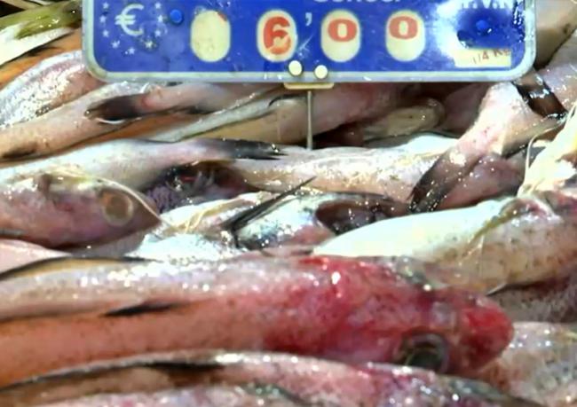 Subida de precios en Almería desafía los bolsillos en la temporada navideña