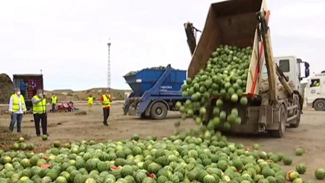 Coexphal califica de 'ruinosa' la campaña de melón y sandía