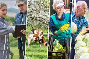 Avances positivos en el Diálogo Estratégico sobre agricultura de la UE