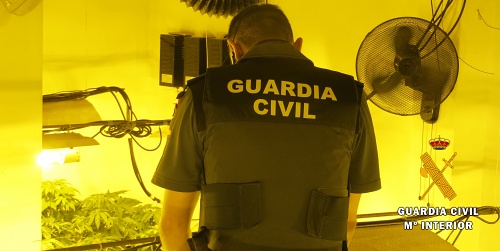 La Guardia Civil detiene a dos personas 379 plantas de marihuana en Benahadux