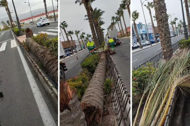 Sin daños graves tras la DANA en Roquetas de Mar