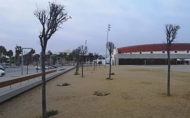 El PSOE apuesta por afrontar las “deficiencias” del parque de Los Bajos