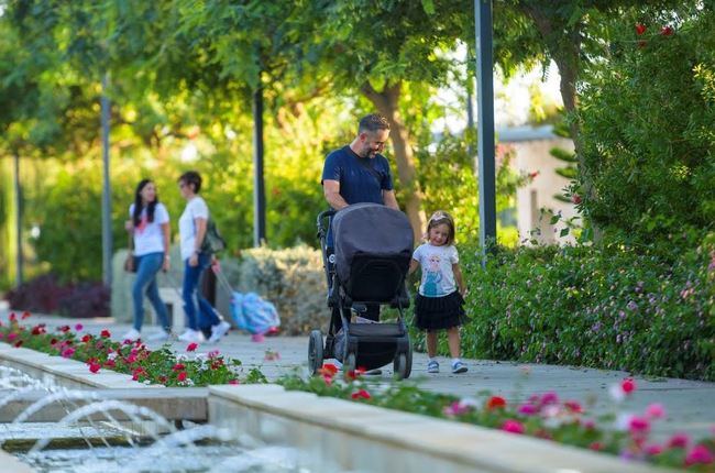 El mantenimiento de zonas verdes y arbolado costará 32 millones de euros