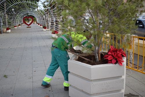 Vícar se Engalana Con Más De 1.500 Pascueros