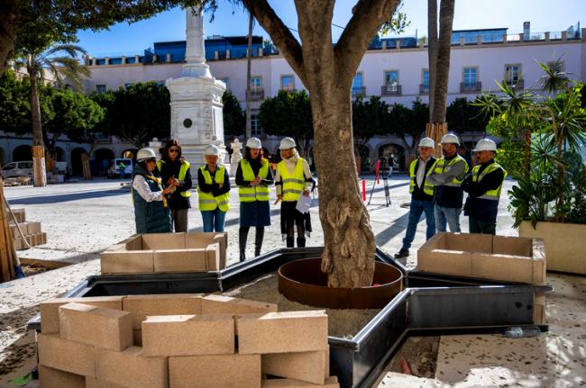 Inician la pavimentación de la Plaza Vieja con un 60% de avance en las obras