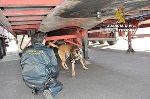 La Guardia Civil localiza y auxilia a otros 7 inmigrantes que viajaban ocultos en el Puerto de Almería