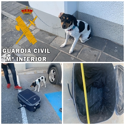 Interceptada una persona que pretendía viajar en autobús con un perro encerrado en una maleta