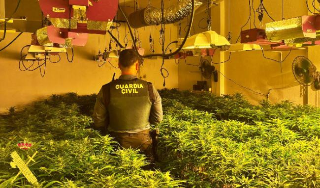 La Guardia Civil desmantela un cultivo de marihuana en una vivienda unifamiliar en Níjar