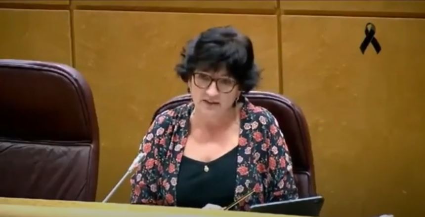 Senadora andalucista pide que el Corredor Mediterráneo esté en el "pacto por la reconstrucción"