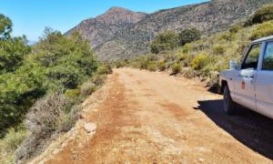 Dalías actúa en las pistas forestales de la Sierra de Gádor