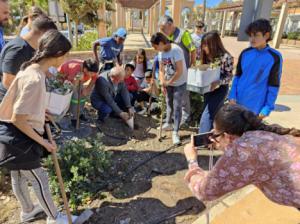 Escolares de Vícar participan en una Plantación De Algarrobos