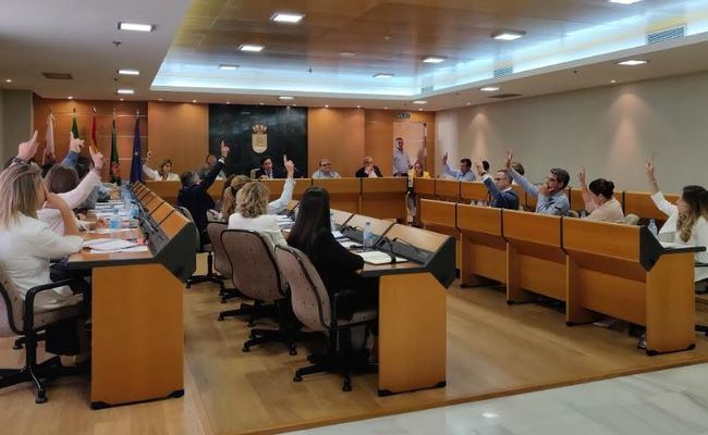 Solo Vox rechaza en El Ejido una moción para mantenerse en VioGen