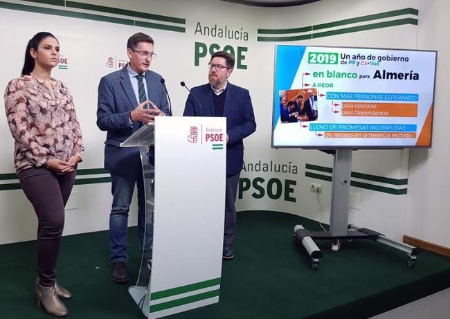 El PSOE asegura que el primer año de PP-Cs “ha pasado en blanco” para Almería