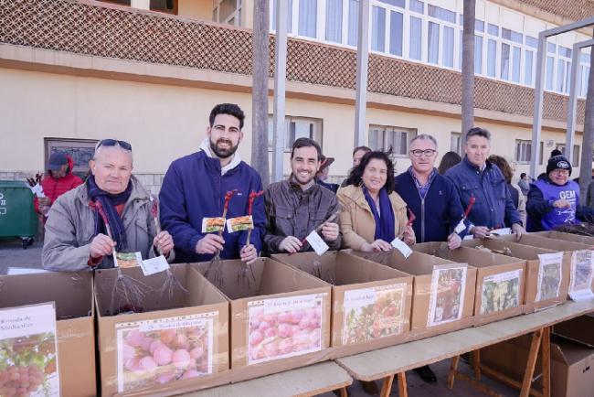 Alhama de Almería reparte 1.500 parras de variedades históricas de uva de mesa