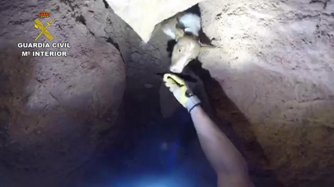 Guardia Civil rescata a un perro perdidon el interior de una cueva de Fuente del Royo