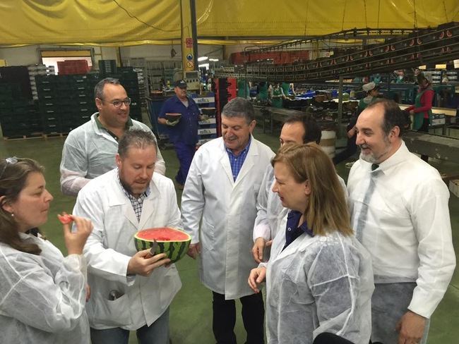 Controles sobre la madurez en sandía y melón