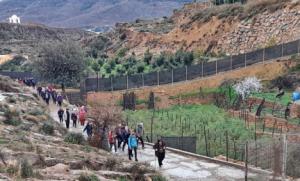 Excelente Jornada Senderista De Los Mayores De Vícar En Celín