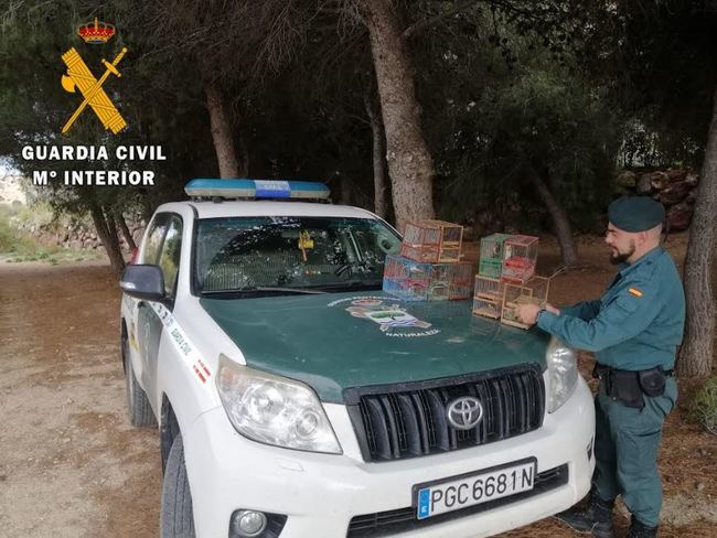 Un detenido, 80 aves intervenidas y actas de infracción de contrabando y contra la fauna y flora silvestre