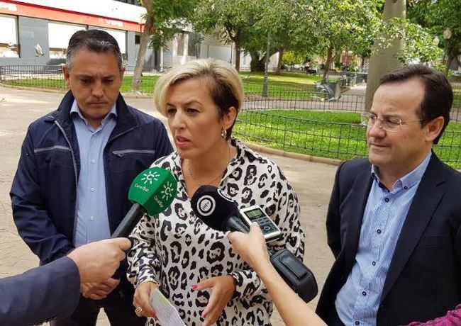 Sonia Ferrer Tesoro reclama “un gobierno estable, sólido y progresista”