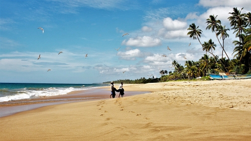 Todo lo que debes saber sobre el visado a Sri Lanka