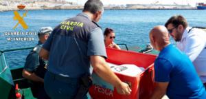 Guardia Civil, Equinac e Isub sueltan una tortuga que tras dos años de recuperación