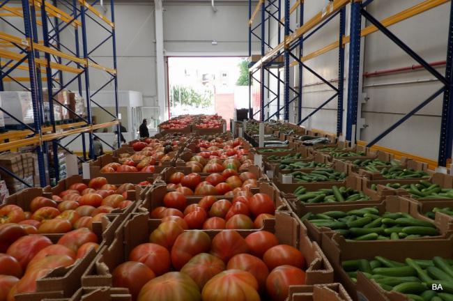 Tomates y pepinos de productores almerienses llegan al Banco de Alimentos de Córdoba