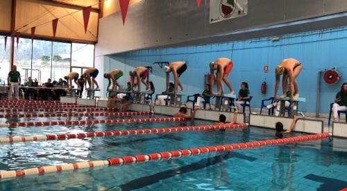 El Trofeo de Natación Ciudad de Berja alcanza la quinta edición