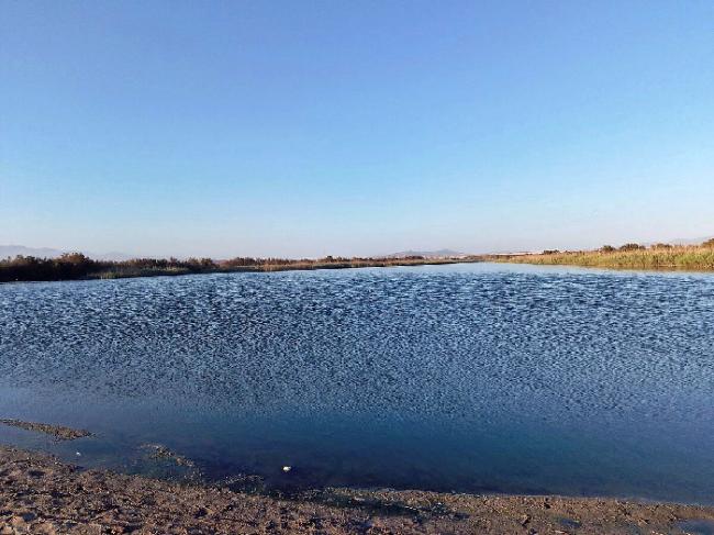 PACMA teme la desaparición del humedal 'El Charco'