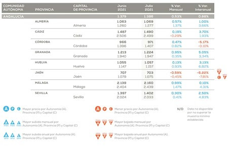 El precio de la vivienda en la provincia de Almería aumentó el 1% en un año