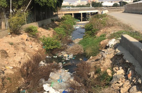 Vertido de aguas residuales en el Paraje Castañeda de El Ejido