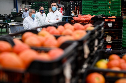 El alcalde visita Grupo Caparrós y elogia el “esfuerzo” del sector agrícola