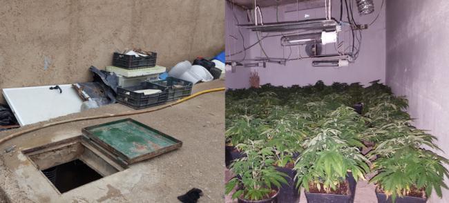 La Policia Nacional halla una plantación de marihuana oculta en un zulo